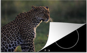 Luxe inductie beschermer Savanne - 80x52 cm - Panter uitkijkend over savanne  - inductiebeschermer