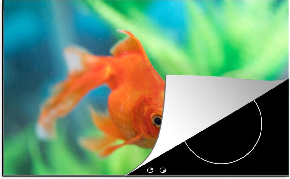 Luxe inductie beschermer Aquarium - 78x52 cm - Goudvis in zoetwateraquarium  - inductiebeschermer