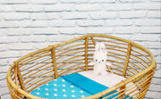 Wallabiezzz - Maxi-Cosi deken - Babydeken - Ster Aquablauw - 75x90cm