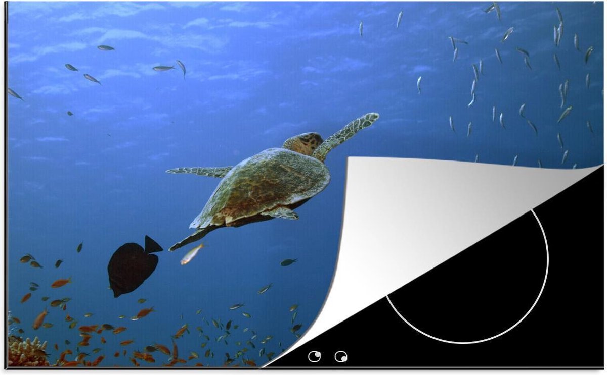 Luxe inductie beschermer Zeeschildpad - 80x52 cm - Zeeschildpad zwemt door school van vissen  - inductiebeschermer