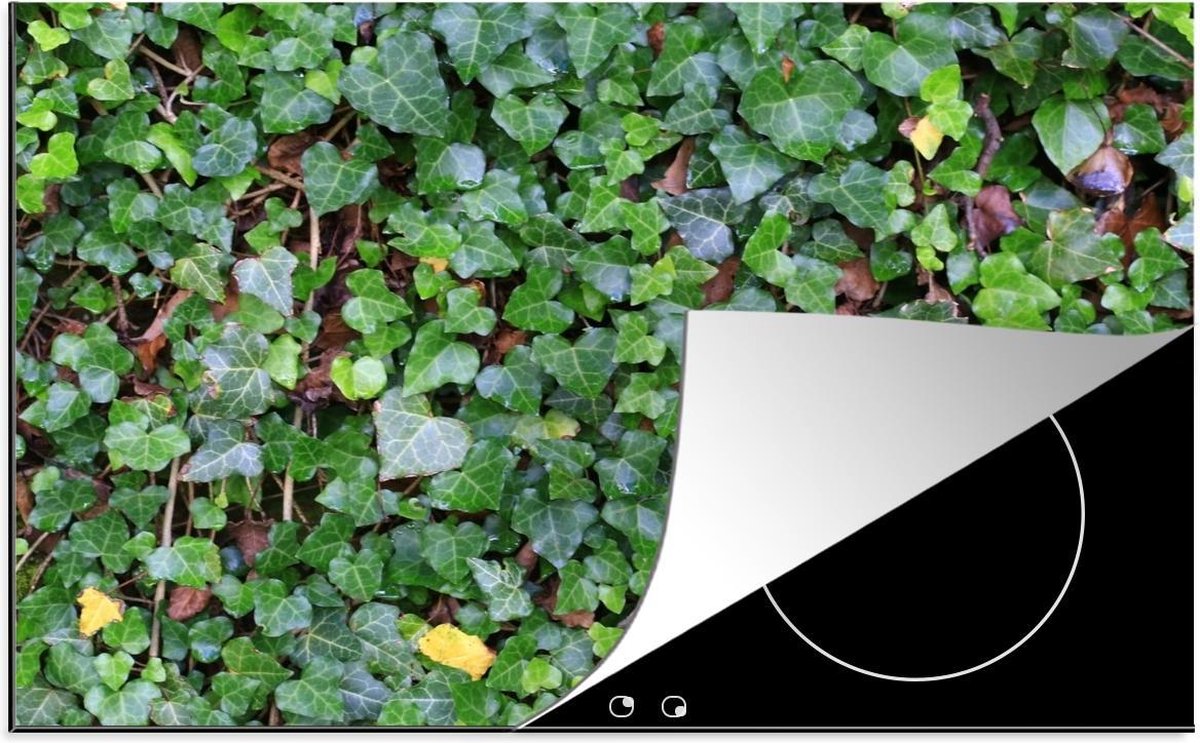 Luxe inductie beschermer Hedera - 78x52 cm - wand gevuld met Hedera klimop  - inductiebeschermer