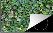Luxe inductie beschermer Hedera - 78x52 cm - wand gevuld met Hedera klimop  - inductiebeschermer