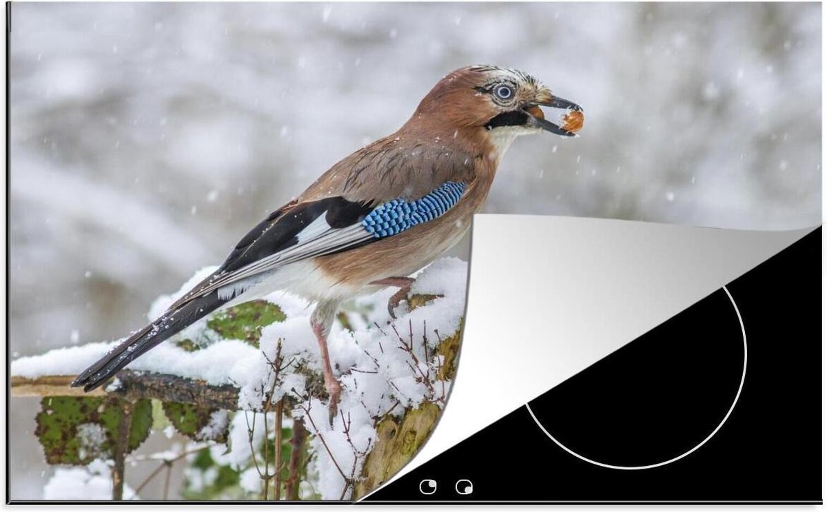 Luxe inductie beschermer Gaai  - 78x52 cm - Gaai in sneeuw  - inductiebeschermer