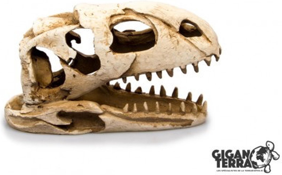 Giganterra Kraandinosaurus