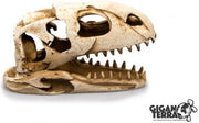 Giganterra Kraandinosaurus