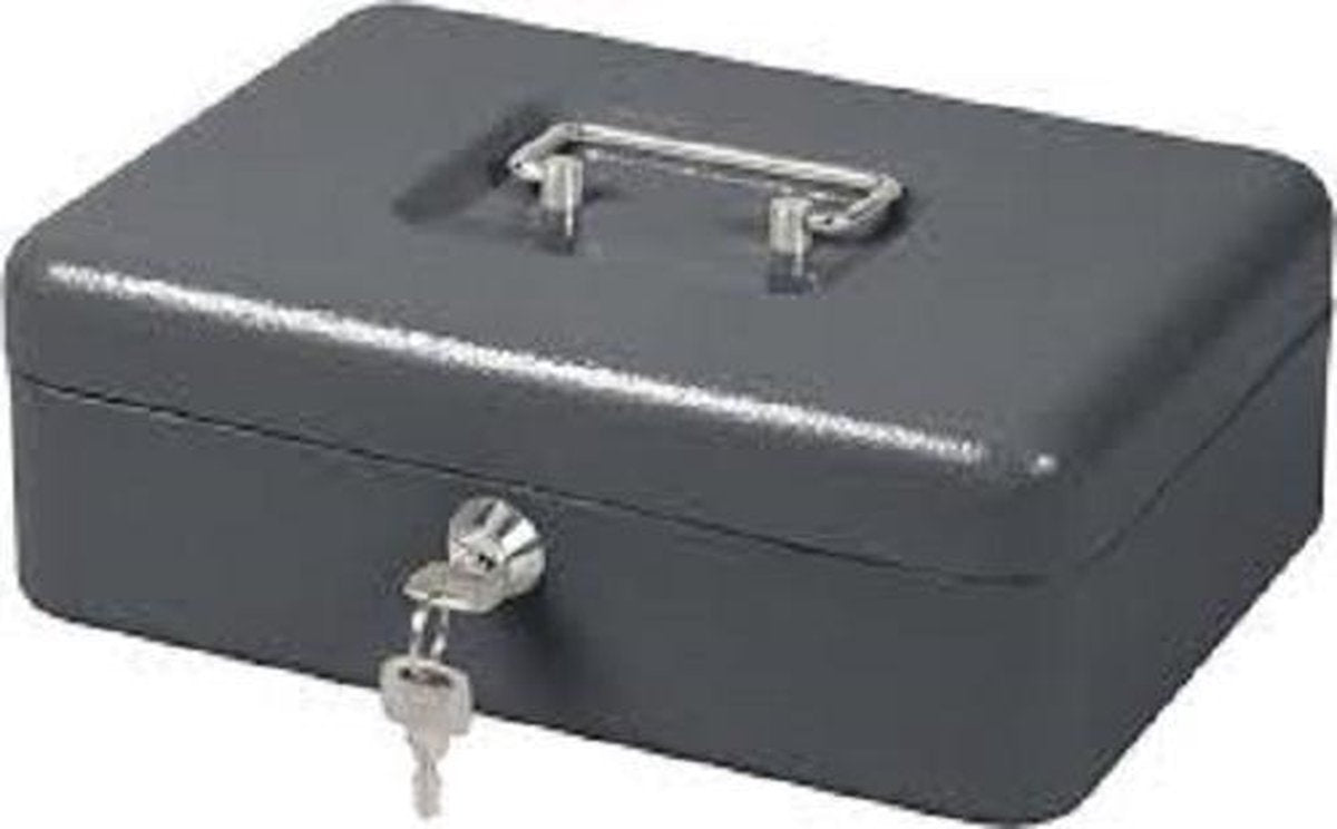Geldkistje - Geldkist - Metaal 200 X 160 X 90 - Zilver Grijs.