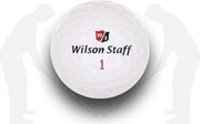 WILSON GOLFBALLENMIX AAA/AA / 12 stuks