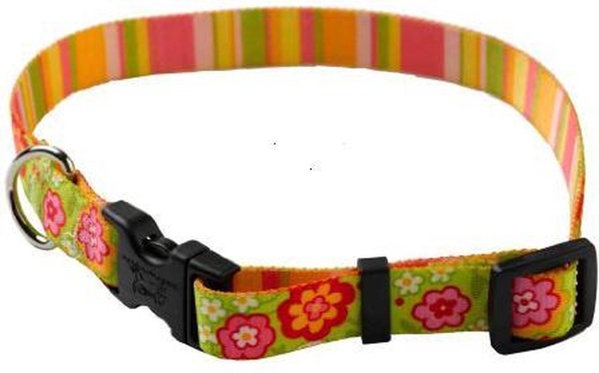 Yellowdog design Boutiquet con strisce regolabili collare