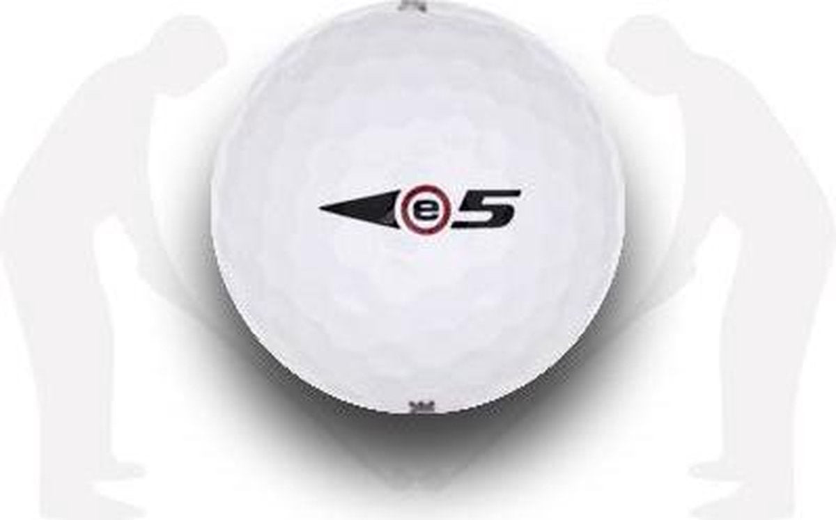 BRIDGESTONE E5/ E5+ AAA/AA / 12 stuks