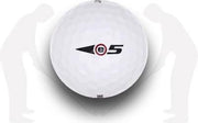 BRIDGESTONE E5/ E5+ A / 12 stuks
