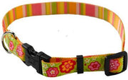 Yellowdog design Boutiquet con strisce collare regolabile