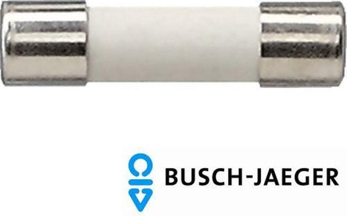 ABB | Busch-Jaeger dimmer zekering 2198 T315H