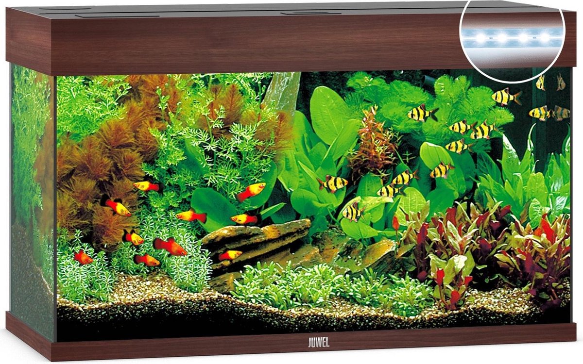 Juwel Aquarium Rio 125 Led - 80 x 35 x 50 cm - Donkerbruin - Ca. 125 L