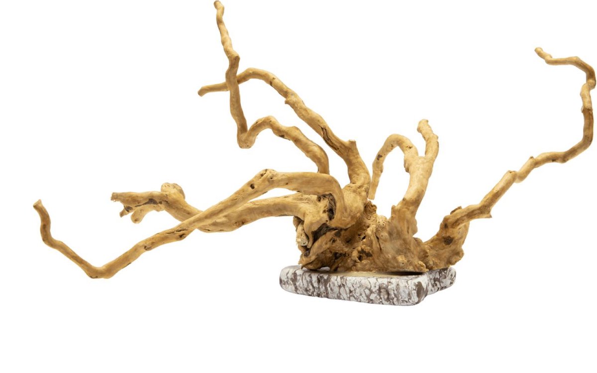 Spiderwood on Rock L 40-60 cm
