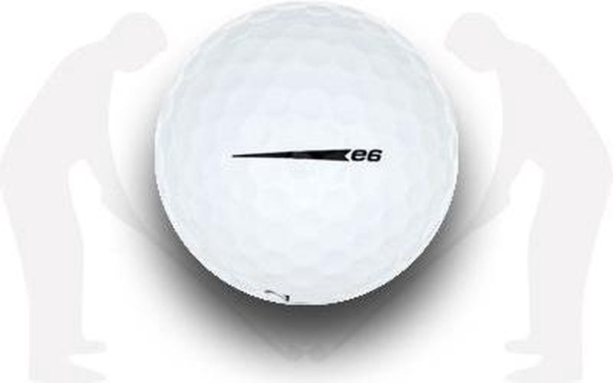 BRIDGESTONE E6/ E6+ AA / 12 stuks / White