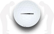 BRIDGESTONE E6/ E6+ AA / 12 stuks / White