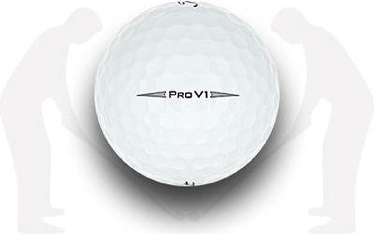 TITLEIST PRO V1 (2020) AA / 12 stuks