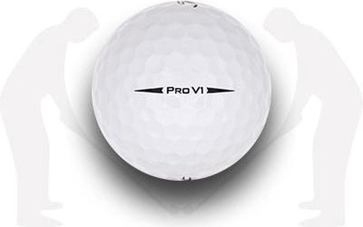 TITLEIST PRO V1 (2019) AAA / 12 stuks