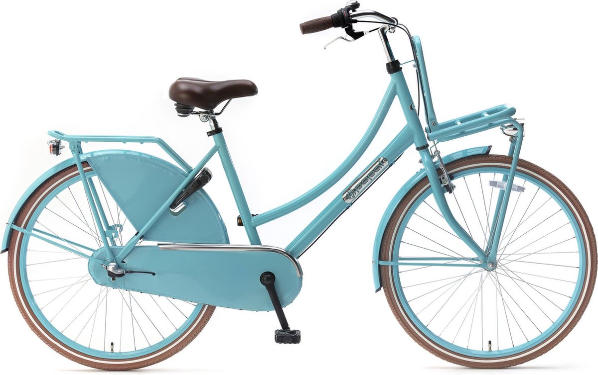Popal Daily Dutch Basic+ Kinderfiets - 26 inch - 3 versnellingen - Turquoise