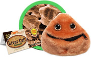 Liver Cell (Hepatocyte)