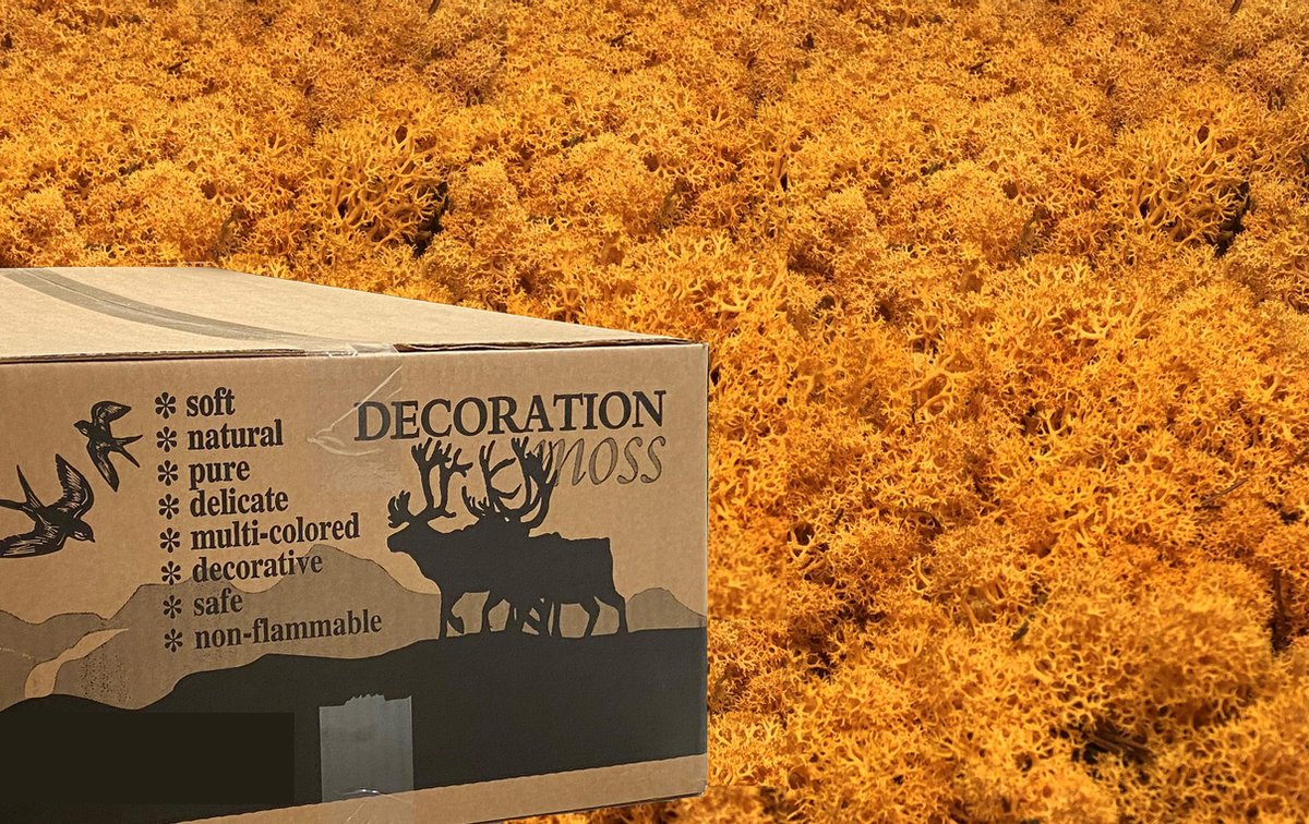 MosBiz Rendiermos oranje 3 kilo voor decoraties