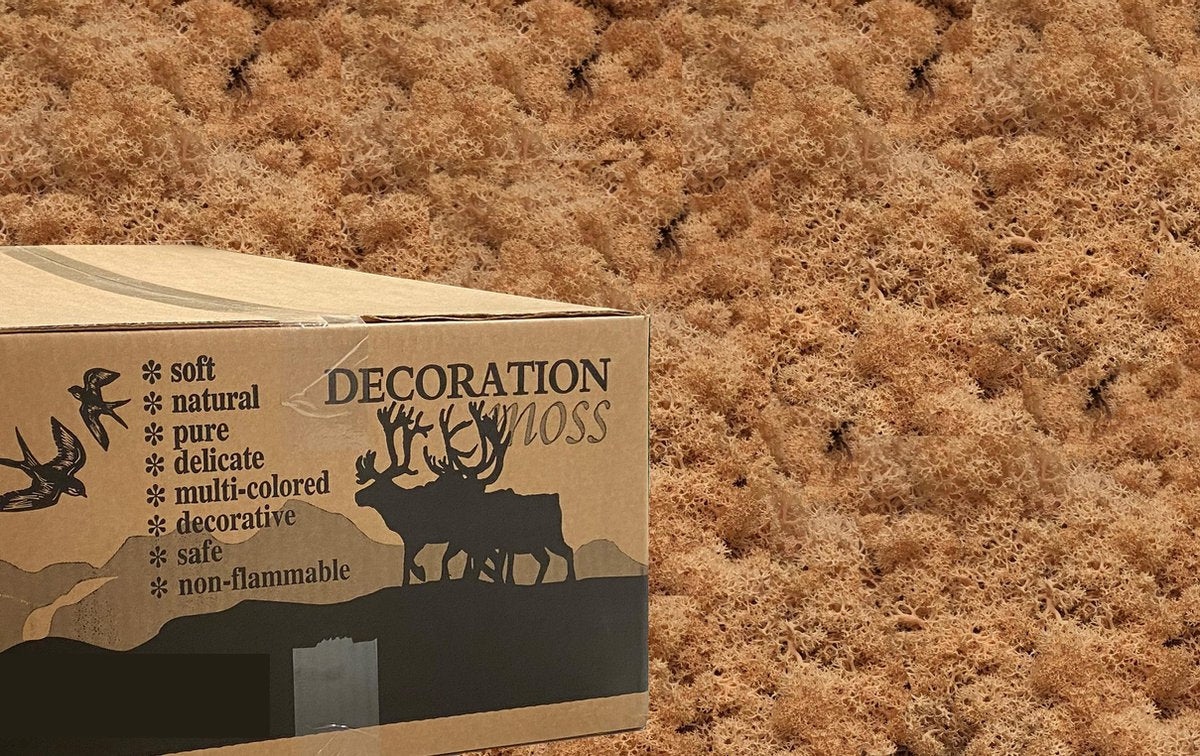 MosBiz Rendiermos perzik 3 kilo voor decoraties