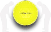 TITLEIST PRO V1 (2020) (GEEL) AA / 12 stuks