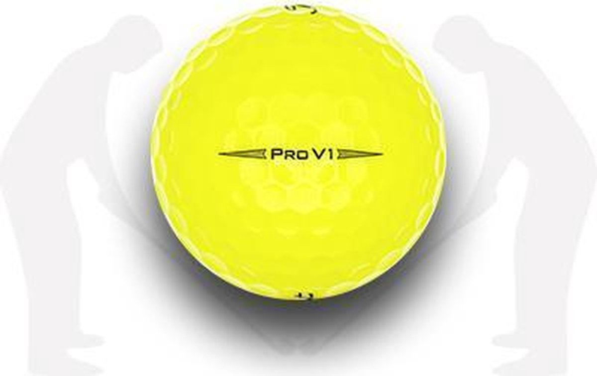 TITLEIST PRO V1 (2020) (GEEL) AAA / 12 stuks