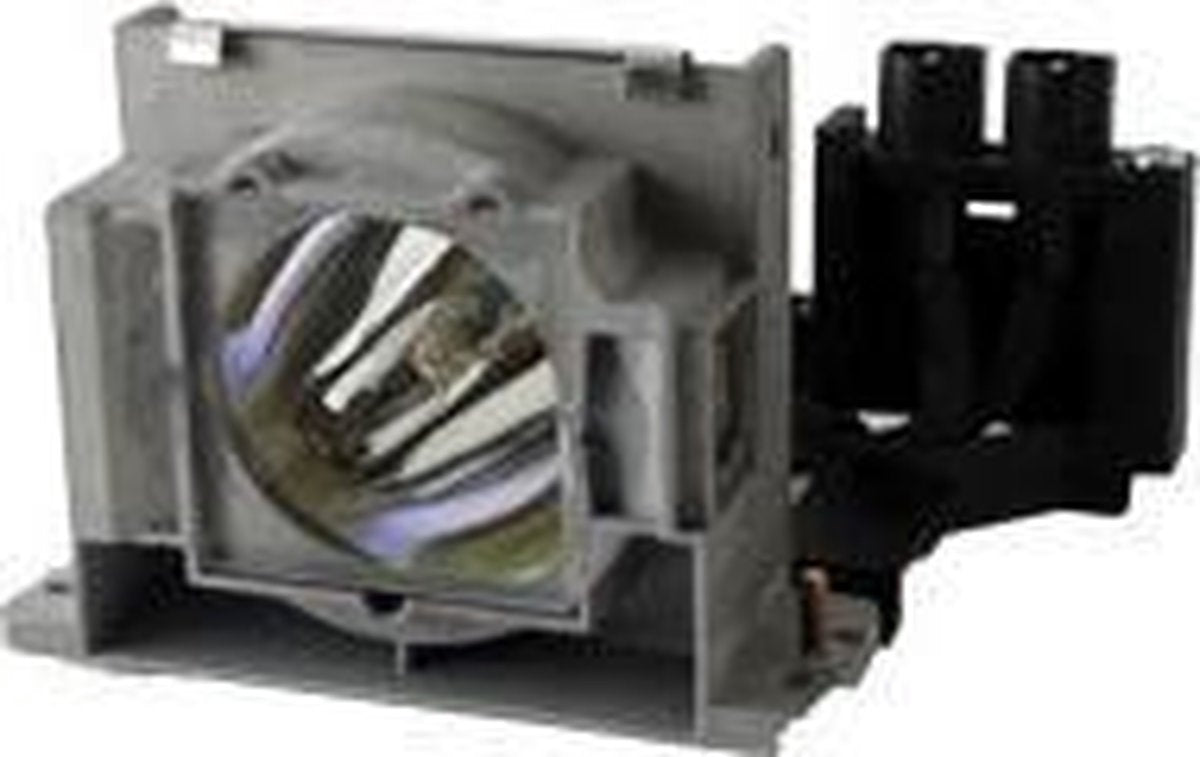 GO Lamps GL244 projectielamp 250 W P-VIP