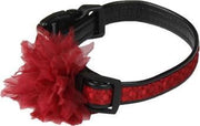 Croci halsband red clavel rood - 40x2 cm - 1 stuks