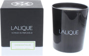 Lalique Candle 190g - Osmanthus Himalaya