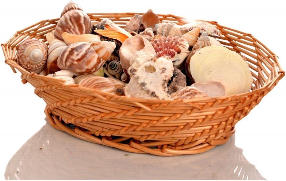 Schelpen Pakket (900 gram)