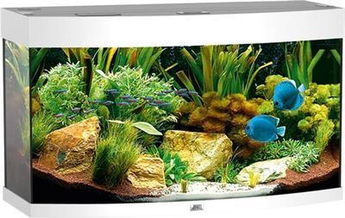 Juwel Vision Aquarium - 92x55x41 cm - 180L - Wit