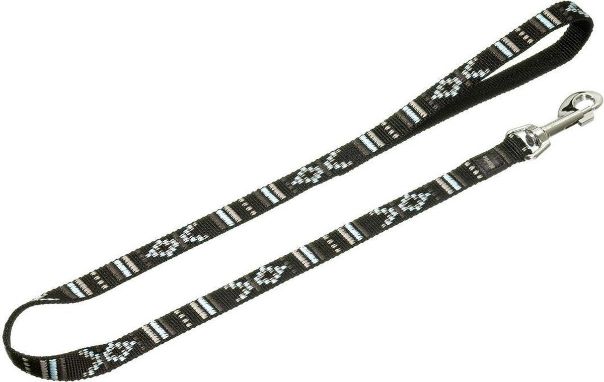 Tonka plus leash