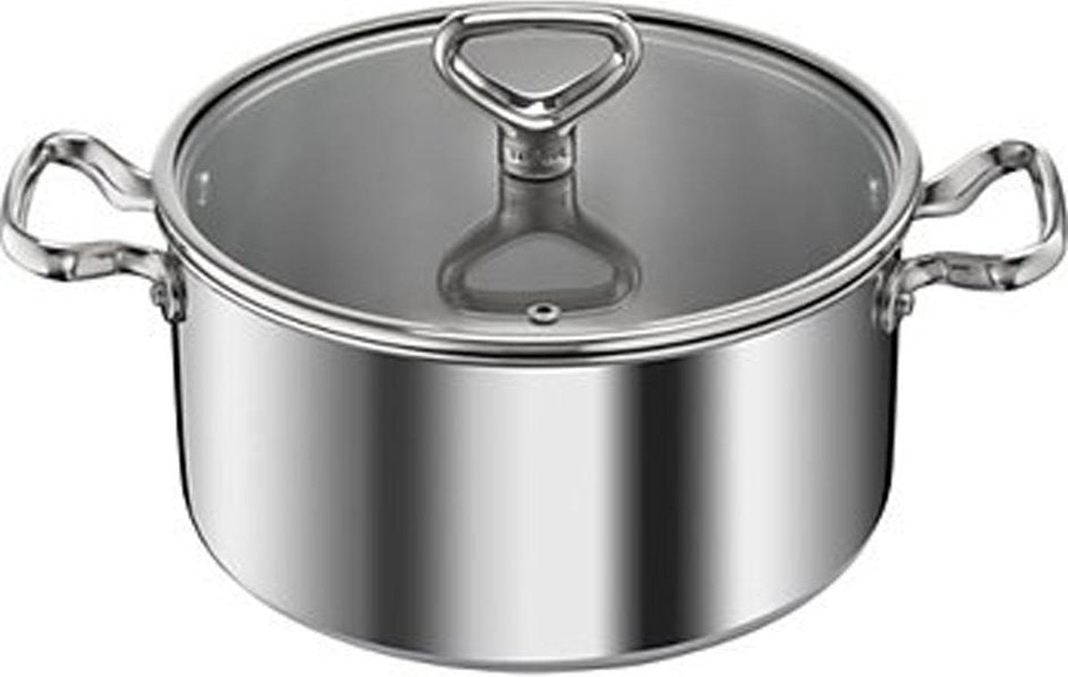 Tefal Reserve Collection Hoogwaardig Aluminium Kookpan Met Deksel - 24 cm