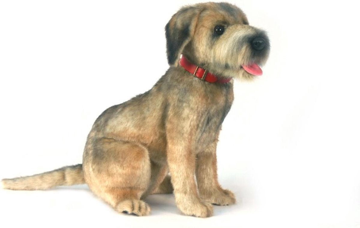 Border Terriër knuffel 44 cm