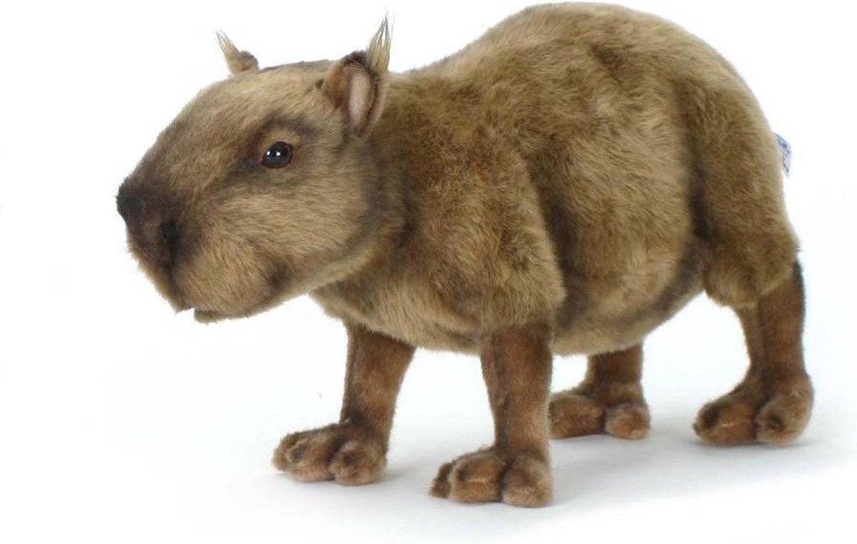 Beverrat knuffel