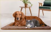 Deken voor hond en kat
