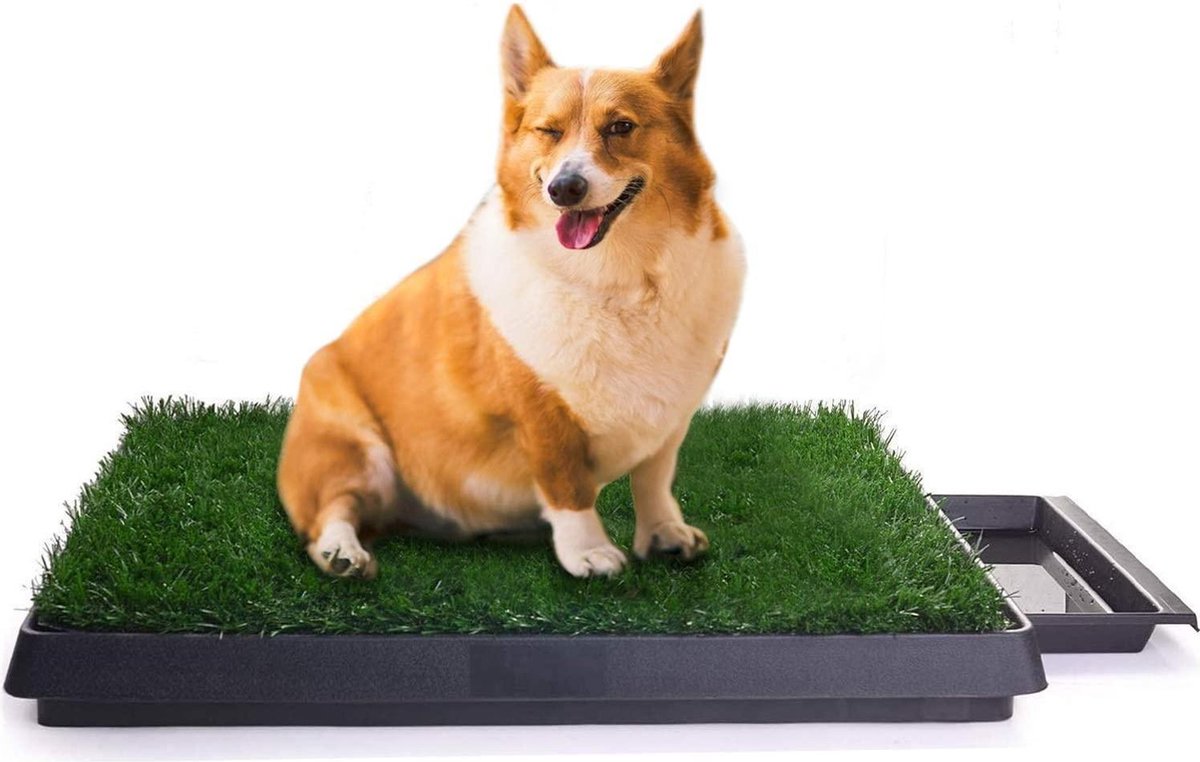 Rexa® hondentoilet voor honden 63 x 50cm - indoor puppytoilet met gras