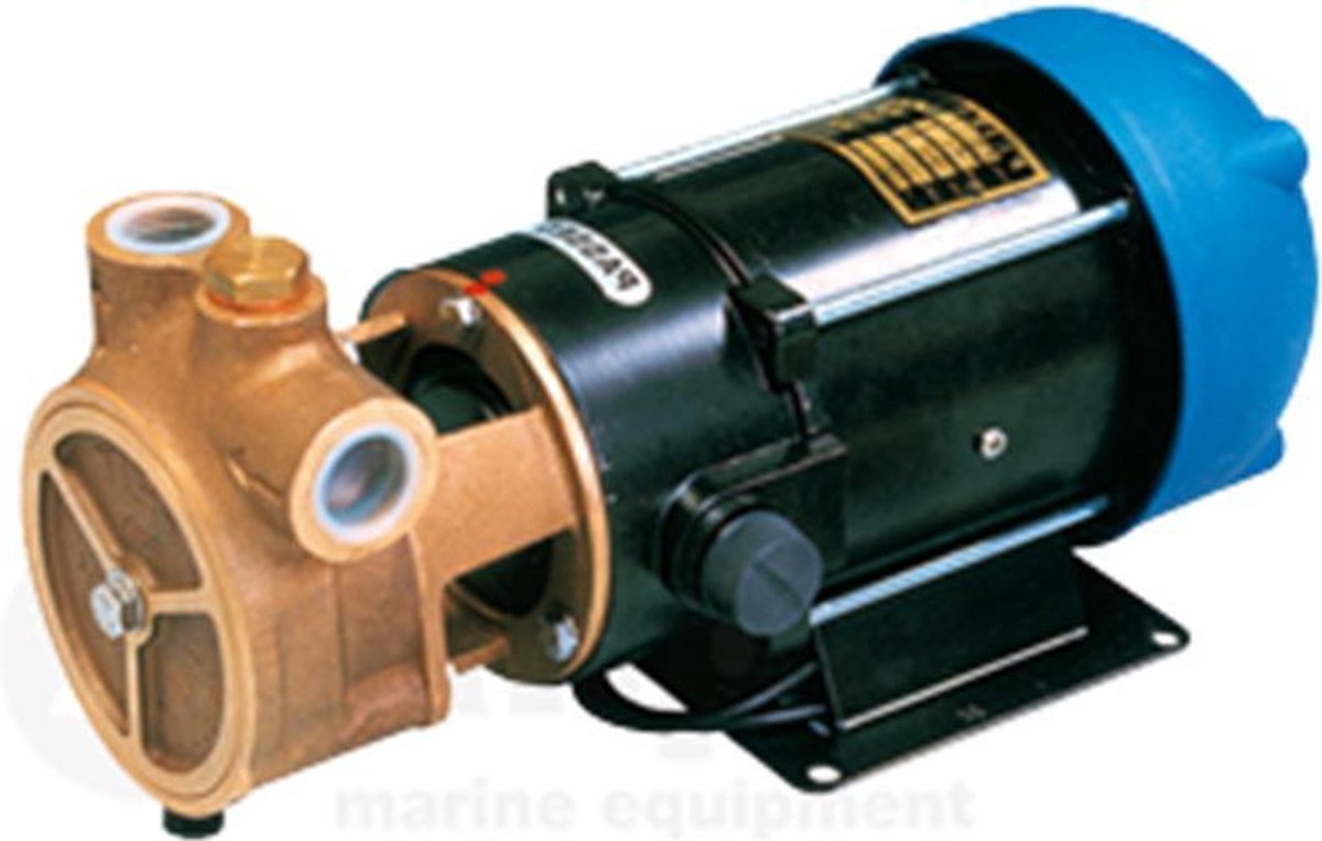 A66B CENTRIFUGAALPOMP ZELFAANZUIGEND 12V - 17 LTR/MIN