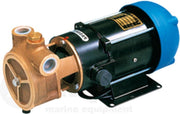 A66B CENTRIFUGAALPOMP ZELFAANZUIGEND 12V - 17 LTR/MIN