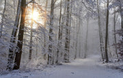 Cadeaupakket Sauna opgiet geur: 5x Winter 250ml.