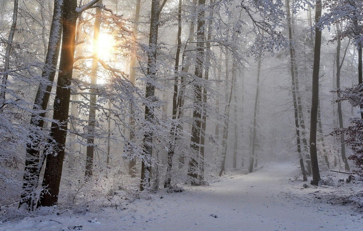Cadeaupakket Sauna opgiet geur: 5x Winter 250ml.