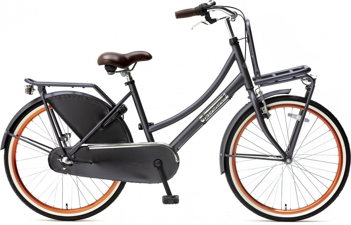 Popal Daily Dutch Basic+ Kinderfiets - 24 inch - 3 versnellingen - Blauw