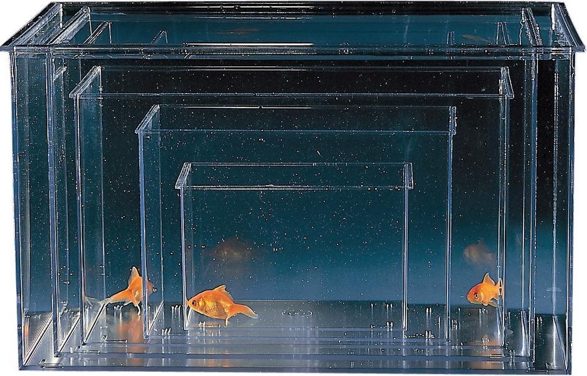 Plastic aquarium - XL - 40