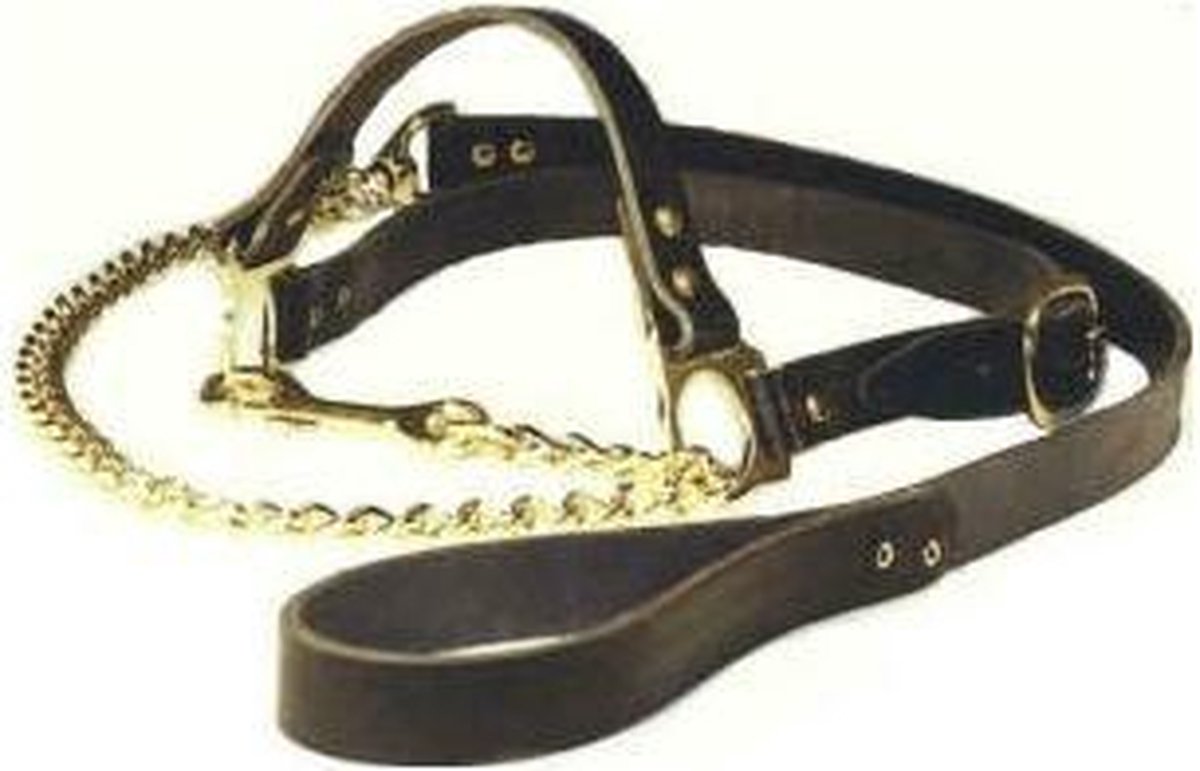 Keuringshalster met ketting
