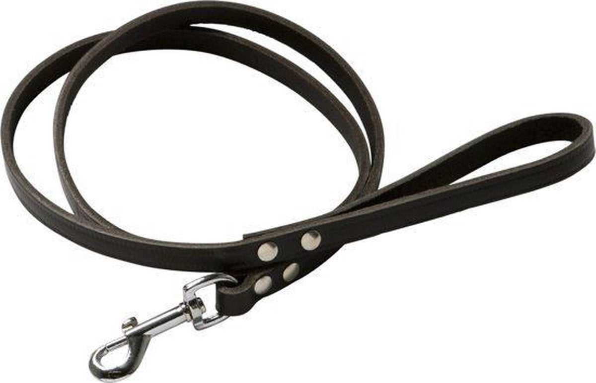 Topmast - Hondenriem - Hondenlijn - Trainingslijn - Leer - Donkerbruin - Softleer - 200 cm x 14 mm - Sterk