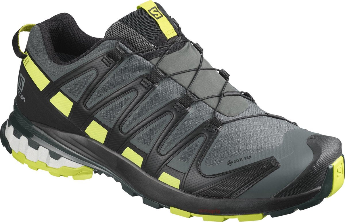 Salomon XA PRO 3D v8 GTX Wandelschoenen Heren - Urban Chic - Heren - Maat 42 2/3