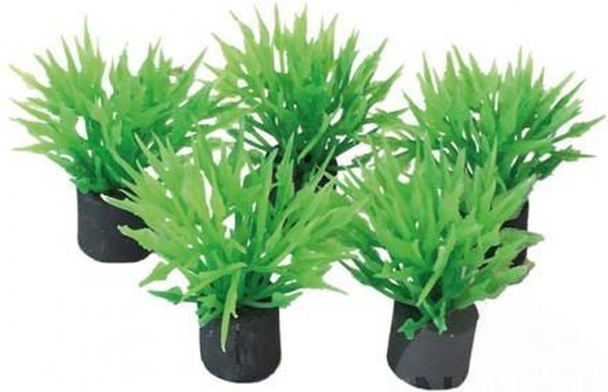 Superfish Mini Aquariumplantjes - Set 5 stuks - 2 cm
