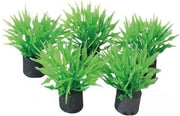 Superfish Mini Aquariumplantjes - Set 5 stuks - 2 cm